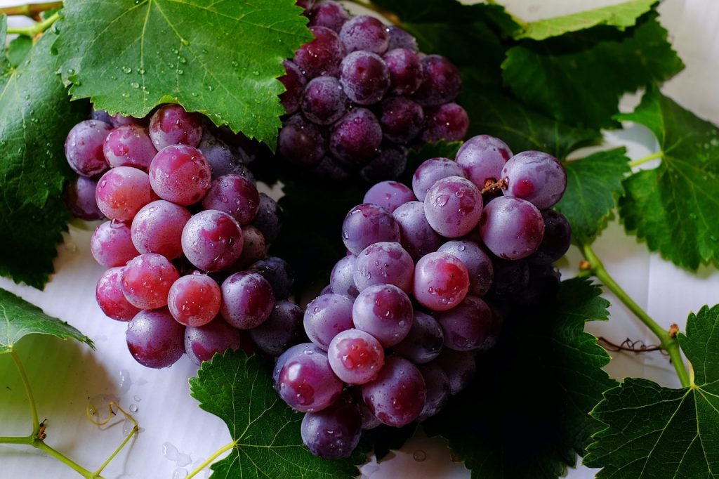 Valeur-nutritionnelle-raisin