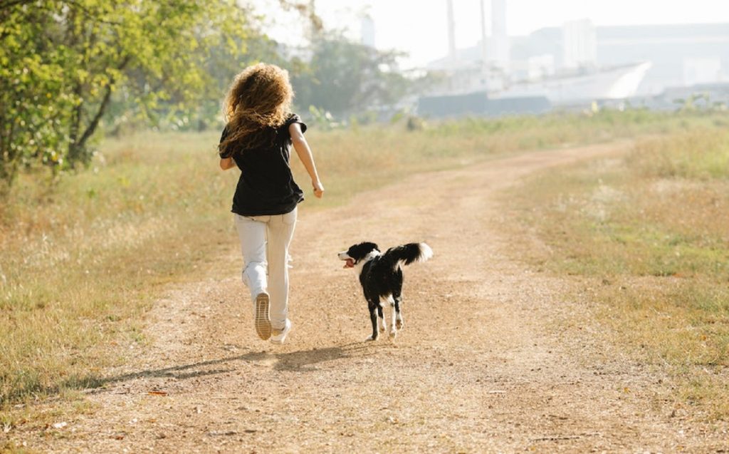 chiens-sportifs