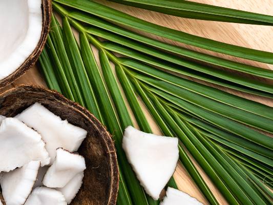 noix de coco en morceaux