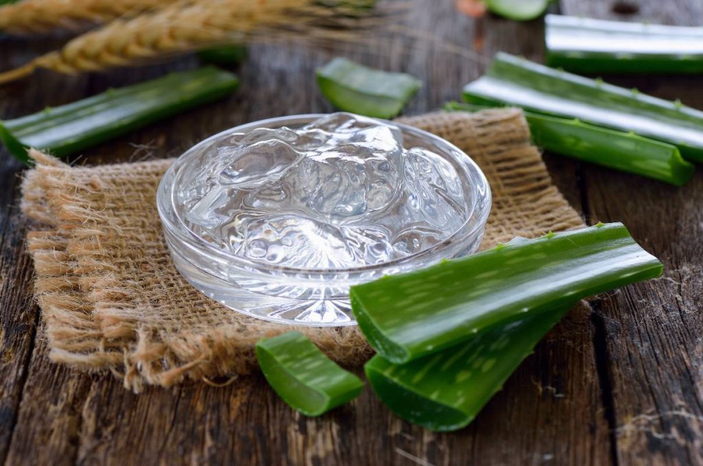 gel d'aloe vera