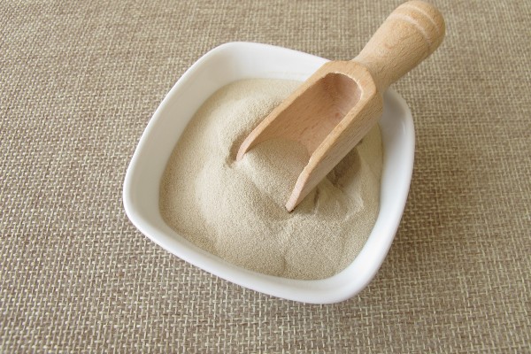agar agar en poudre