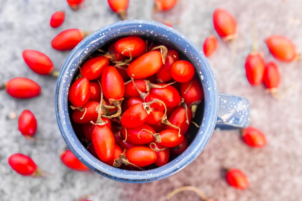 tasse de baies de goji